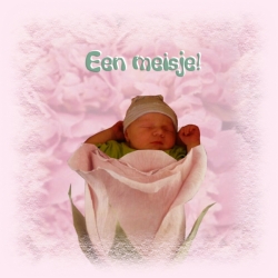 Geboorte Gigi